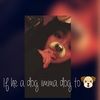 vanessavicto216